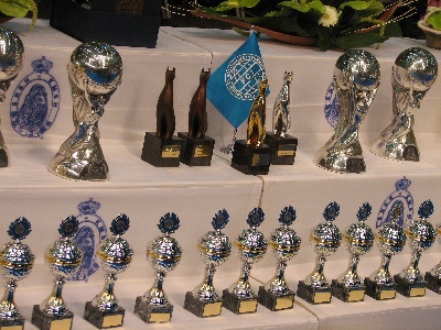 d'un Soir de Noël - FCI CENTENARY - WORLD CHAMPION of CHAMPIONS -  BRUSSELS - 12-11-2011