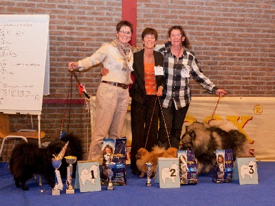 d'un Soir de Noël - DSCB DogShow 2011 (Nationale d'Elevage Belge) 2 - Couple -