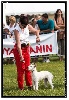  - Exposition Canine DIEPPE 2014