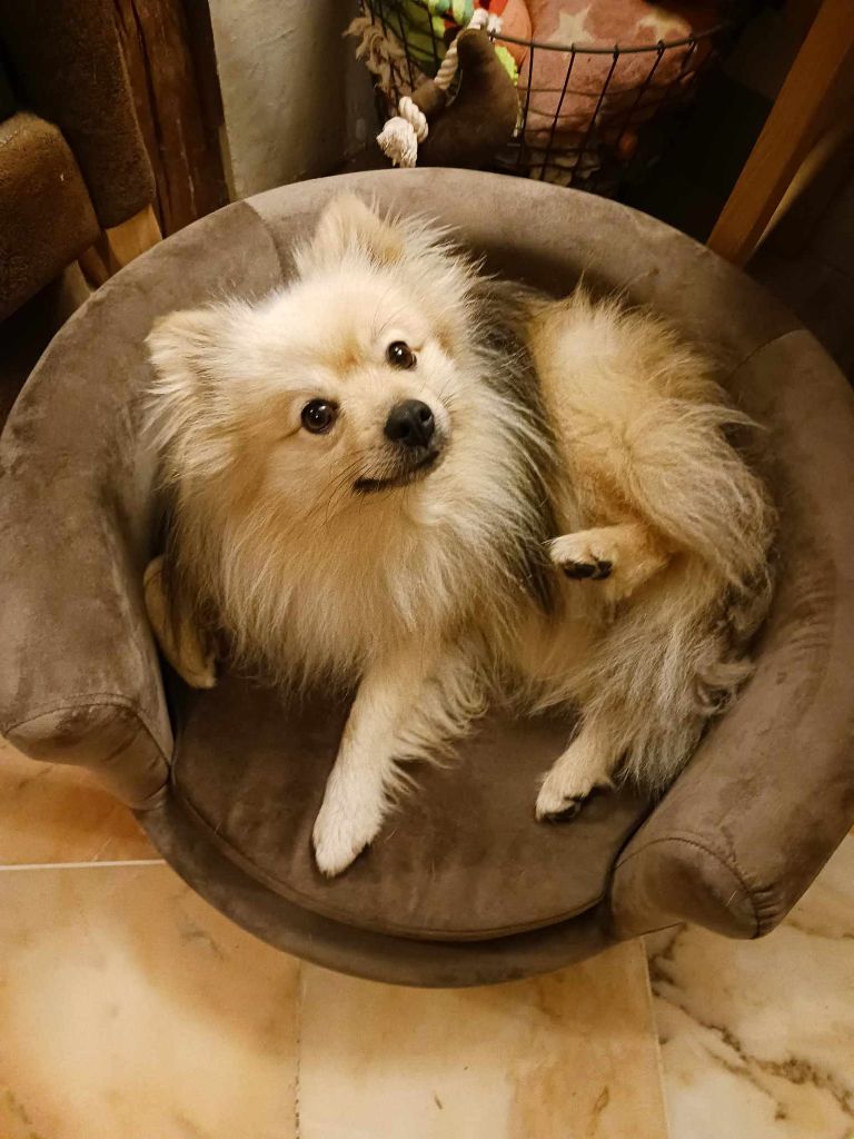 CH. R' simbad Titre Initial